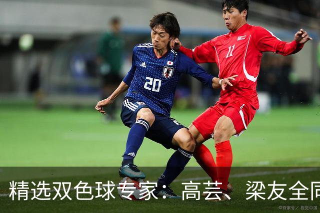 精选双色球专家：高芸、梁友全同中二等279万！