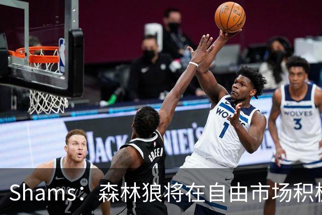 Shams：森林狼将在自由市场积极补强4号位 但他们只能提供底薪